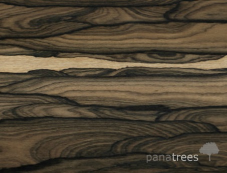 Ziricote wood texture