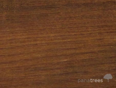 IPe Guayacan wood texture